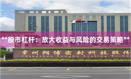 **股市杠杆：放大收益与风险的交易策略**