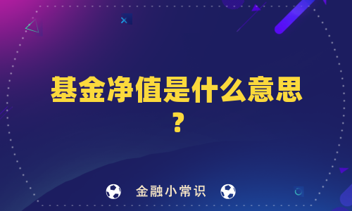 基金净值是什么意思？