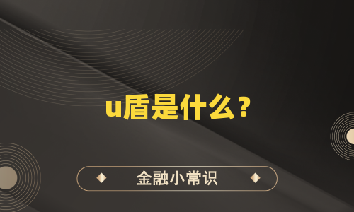 u盾是什么？