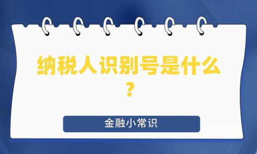 纳税人识别号是什么？