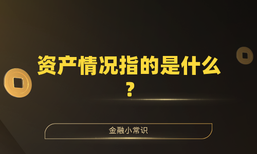 资产情况指的是什么？