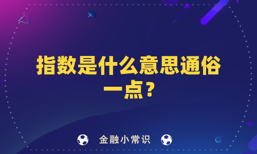 指数是什么意思通俗一点？