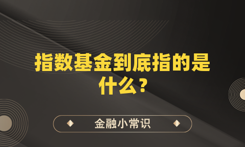 指数基金到底指的是什么？