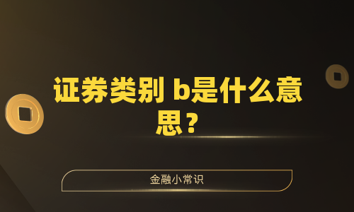 证券类别 b是什么意思？