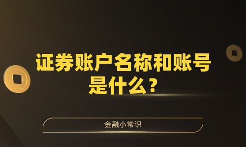 证券账户名称和账号是什么？