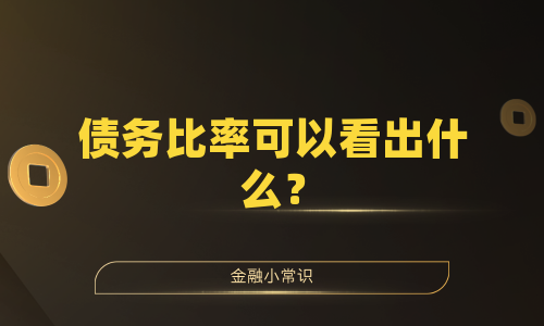 债务比率可以看出什么？